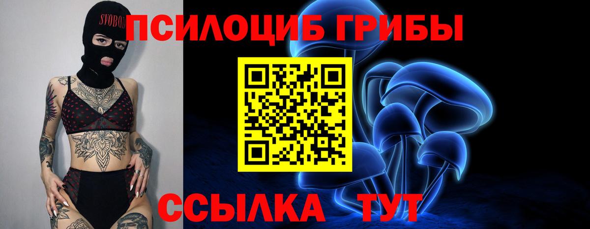 Псилоцибиновые грибы Psilocybe  Вход с VPN  Галлюциногенные грибы Magic Shrooms  Клин 